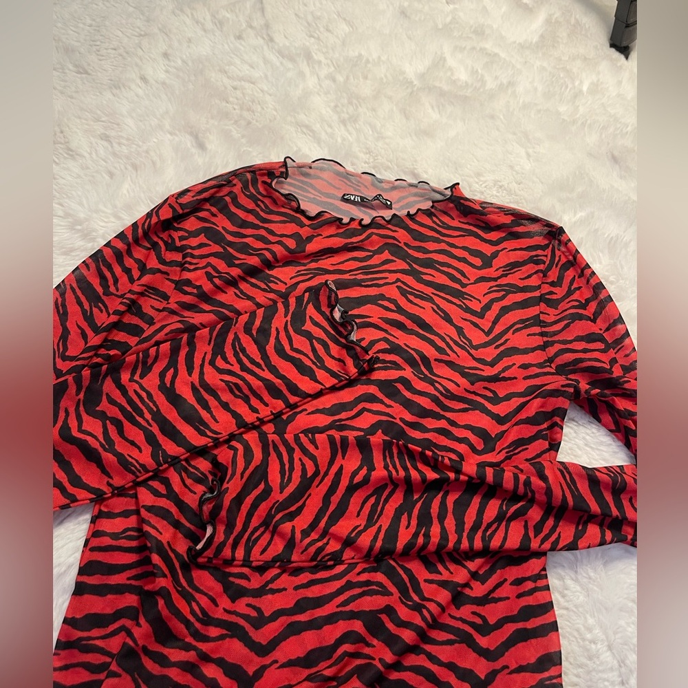 Zara sheer top